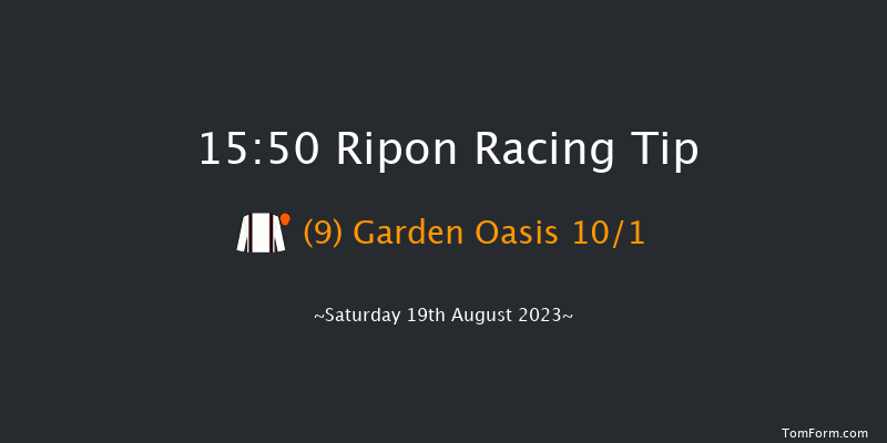 Ripon 15:50 Handicap (Class 4) 8f Tue 8th Aug 2023