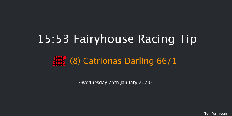 Fairyhouse 15:53 Handicap Hurdle 20f Sat 14th Jan 2023