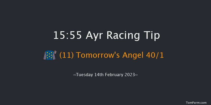 Ayr 15:55 Handicap Hurdle (Class 4) 24f Wed 1st Feb 2023