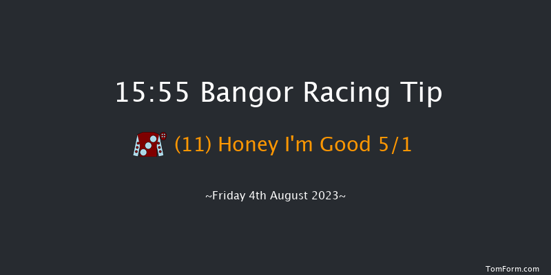 Bangor 15:55 Handicap Chase (Class 3) 24f Sat 10th Jun 2023