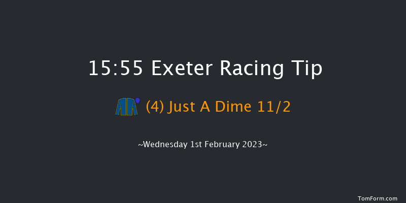 Exeter 15:55 Handicap Hurdle (Class 4) 23f Tue 10th Jan 2023