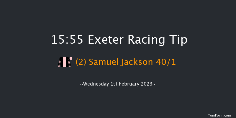Exeter 15:55 Handicap Hurdle (Class 4) 23f Tue 10th Jan 2023