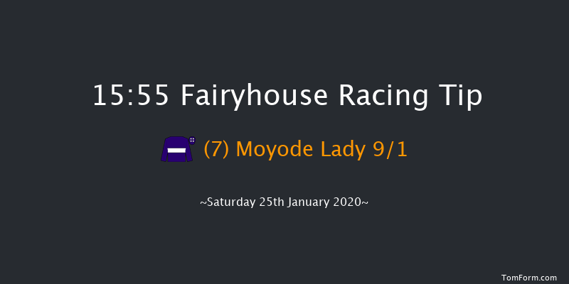Fairyhouse 15:55 Handicap Hurdle 24f Tue 14th Jan 2020