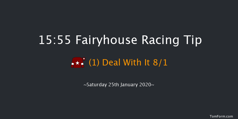 Fairyhouse 15:55 Handicap Hurdle 24f Tue 14th Jan 2020