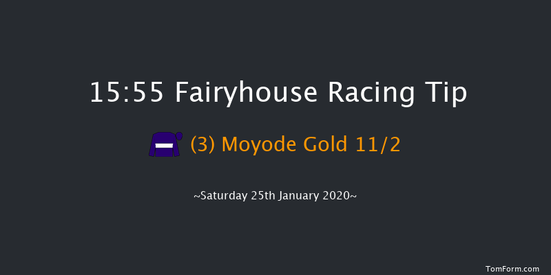 Fairyhouse 15:55 Handicap Hurdle 24f Tue 14th Jan 2020