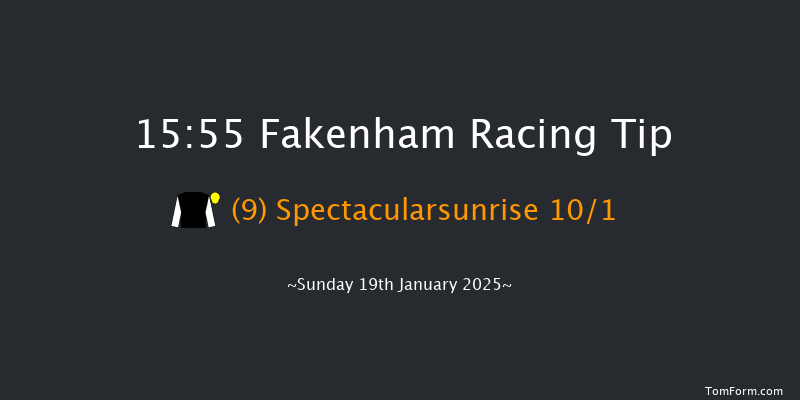 Fakenham  15:55 NH Flat Race (Class 5) 16f Wed 1st Jan 2025