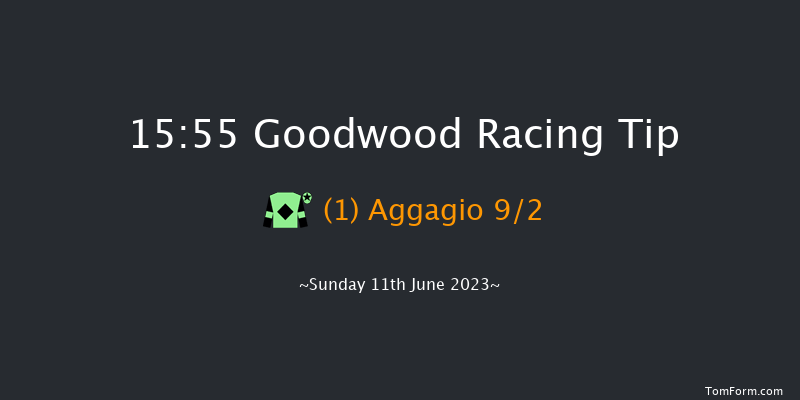 Goodwood 15:55 Handicap (Class 3) 16f Fri 9th Jun 2023