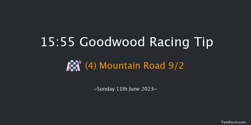 Goodwood 15:55 Handicap (Class 3) 16f Fri 9th Jun 2023