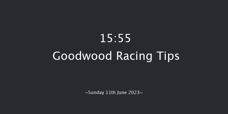 Goodwood 15:55 Handicap (Class 3) 16f Fri 9th Jun 2023