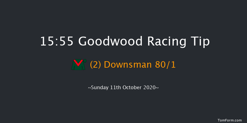 Download The tote Placepot App EBF Novice Stakes (Plus 10) Goodwood 15:55 Stakes (Class 4) 9f Wed 23rd Sep 2020