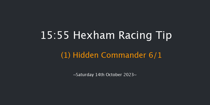 Hexham 15:55 Handicap Chase (Class 4) 20f Fri 6th Oct 2023