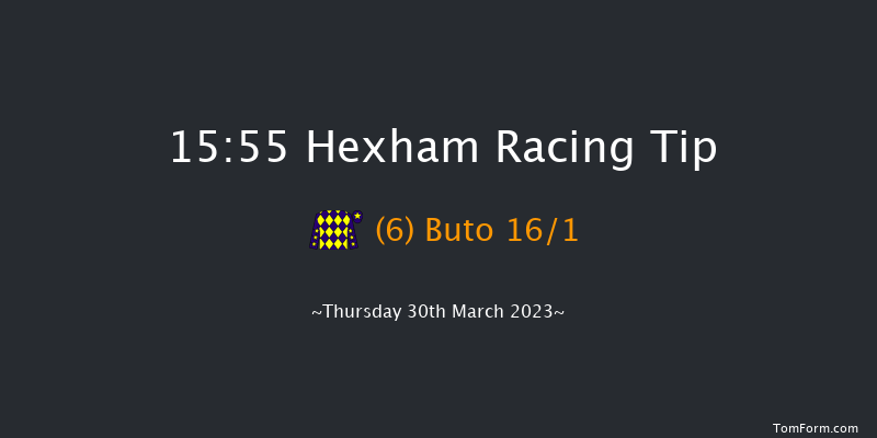 Hexham 15:55 Handicap Hurdle (Class 5) 23f Tue 28th Mar 2023