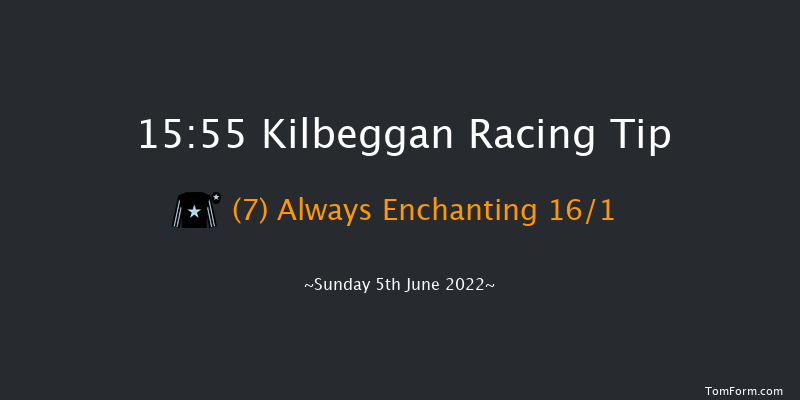 Kilbeggan 15:55 Handicap Hurdle 16f Fri 13th May 2022