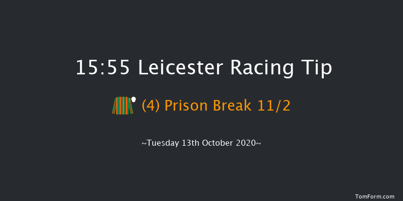 British EBF Novice Stakes (Plus 10) Leicester 15:55 Stakes (Class 4) 7f Tue 6th Oct 2020