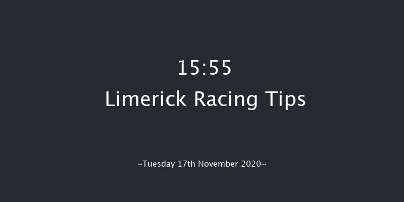 Irish Stallion Farms EBF Auction Flat Race Limerick 15:55 NH Flat Race 16f Sun 11th Oct 2020