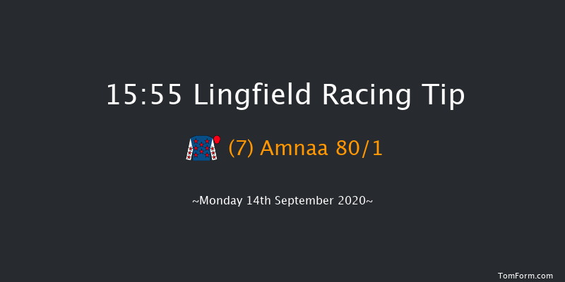 Play 4 To Win At Betway Handicap Lingfield 15:55 Handicap (Class 6) 5f Sat 12th Sep 2020