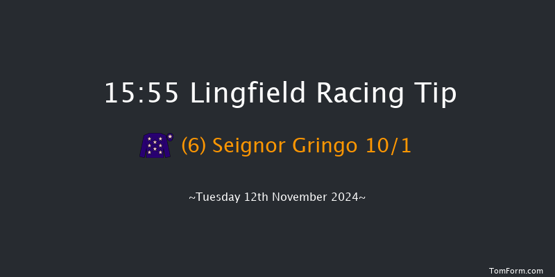 Lingfield  15:55 Handicap Hurdle (Class 5) 23f  Sat 14th Sep 2024