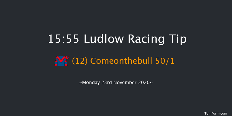 Ludlow Brewery Glynis Lloyd Handicap Hurdle Ludlow 15:55 Handicap Hurdle (Class 5) 24f Thu 12th Nov 2020