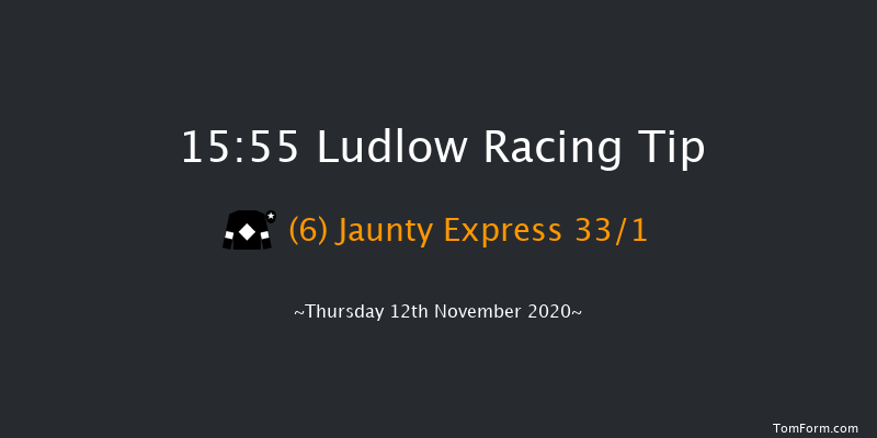 Ludlow BCD 'Newcomers' Standard Open NH Flat Race (GBB Race) Ludlow 15:55 NH Flat Race (Class 5) 16f Thu 22nd Oct 2020