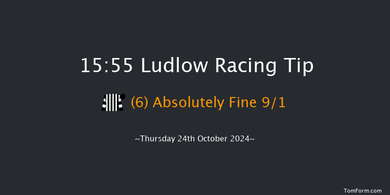Ludlow  15:55 Handicap Hurdle (Class 5) 24f Wed 9th Oct 2024