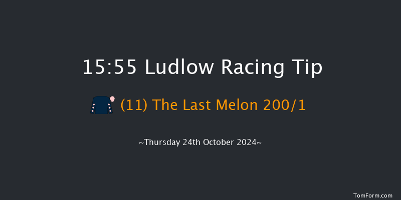 Ludlow  15:55 Handicap Hurdle (Class 5) 24f Wed 9th Oct 2024
