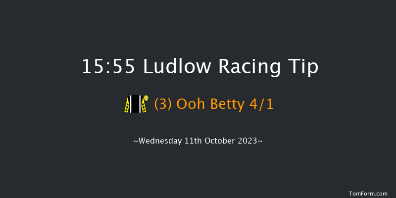 Ludlow 15:55 Maiden Hurdle (Class 4) 21f Sun 14th May 2023