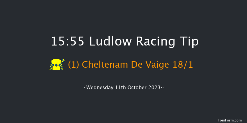 Ludlow 15:55 Maiden Hurdle (Class 4) 21f Sun 14th May 2023