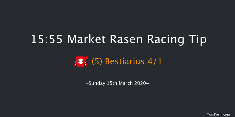 West Lindsey District Council Chairman's Handicap Chase Market Rasen 15:55 Handicap Chase (Class 4) 19f Wed 26th Feb 2020