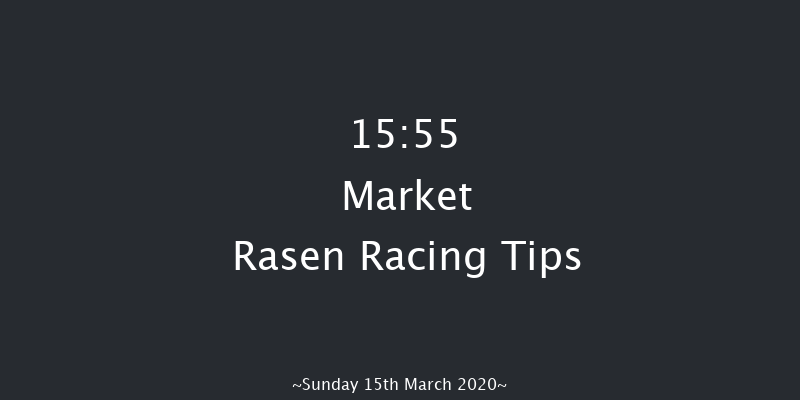 West Lindsey District Council Chairman's Handicap Chase Market Rasen 15:55 Handicap Chase (Class 4) 19f Wed 26th Feb 2020
