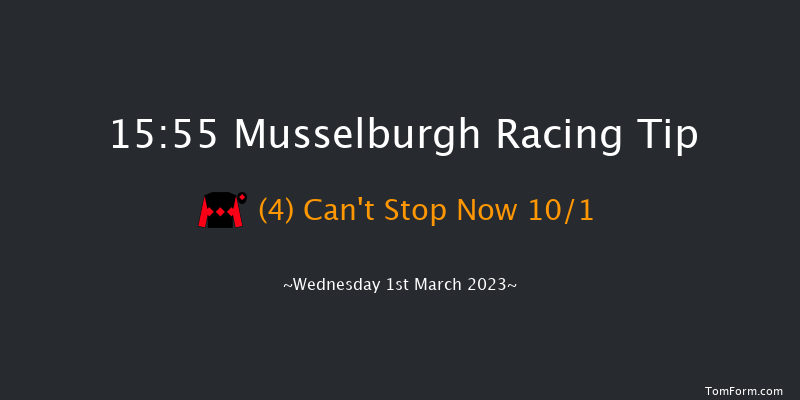 Musselburgh 15:55 Handicap Hurdle (Class 4) 16f Sun 19th Feb 2023