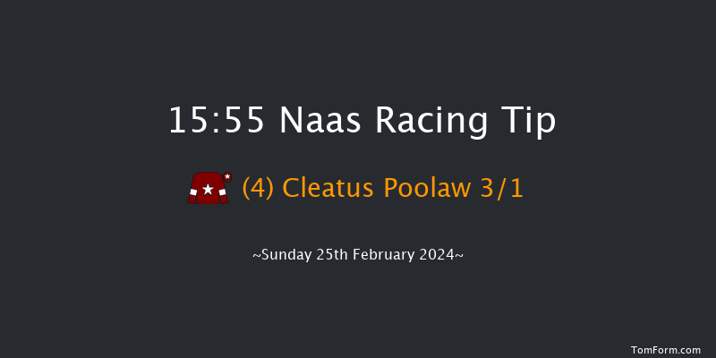 Naas  15:55 Handicap Hurdle 23f Sat 10th Feb 2024