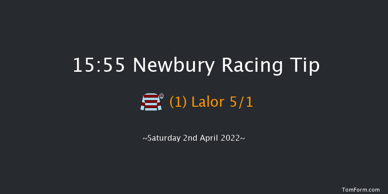 Newbury 15:55 Handicap Chase (Class 2) 20f Fri 1st Apr 2022