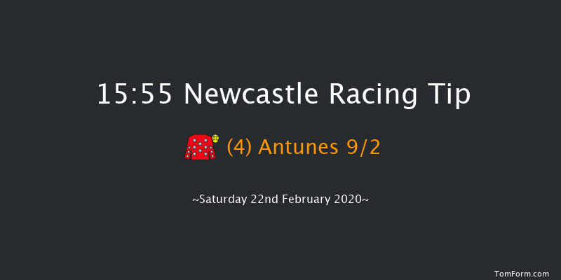 Break From The Field With Vertem Handicap Hurdle Newcastle 15:55 Handicap Hurdle (Class 2) 16f Wed 19th Feb 2020