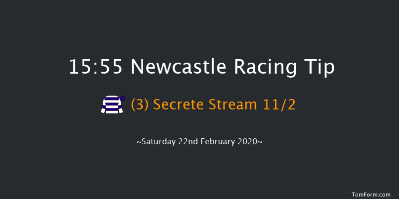 Break From The Field With Vertem Handicap Hurdle Newcastle 15:55 Handicap Hurdle (Class 2) 16f Wed 19th Feb 2020
