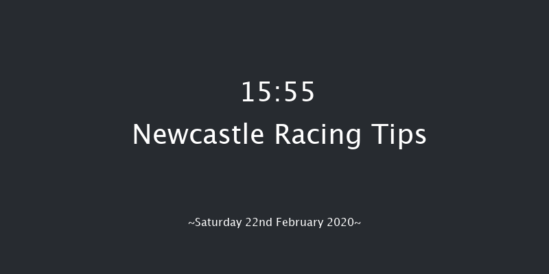 Break From The Field With Vertem Handicap Hurdle Newcastle 15:55 Handicap Hurdle (Class 2) 16f Wed 19th Feb 2020