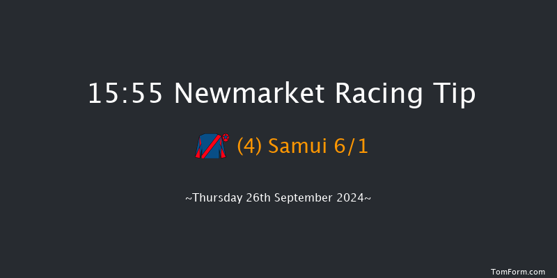 Newmarket  15:55 Listed (Class 1) 16f  Sat 21st Sep 2024