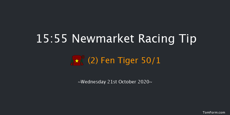 British EBF Future Stayers Novice Stakes (Plus 10) Newmarket 15:55 Stakes (Class 2) 8f Sat 10th Oct 2020