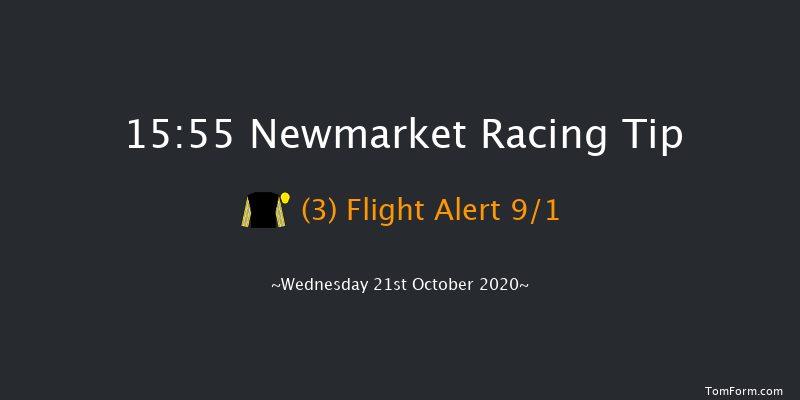 British EBF Future Stayers Novice Stakes (Plus 10) Newmarket 15:55 Stakes (Class 2) 8f Sat 10th Oct 2020