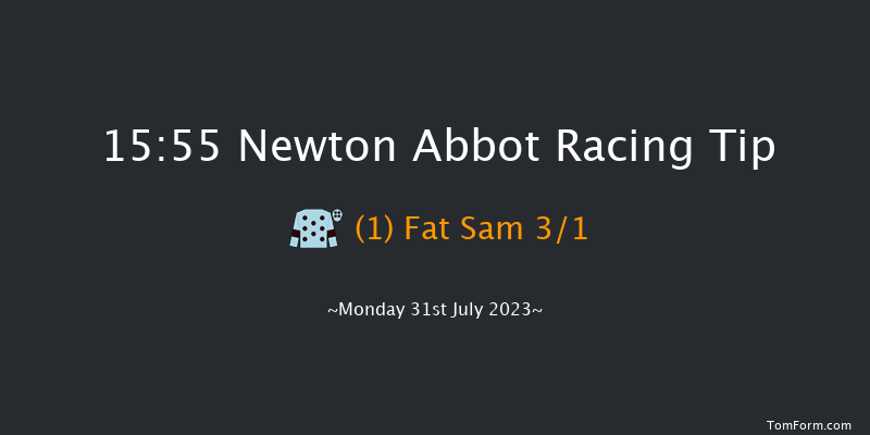 Newton Abbot 15:55 Handicap Chase (Class 4) 21f Sun 23rd Jul 2023