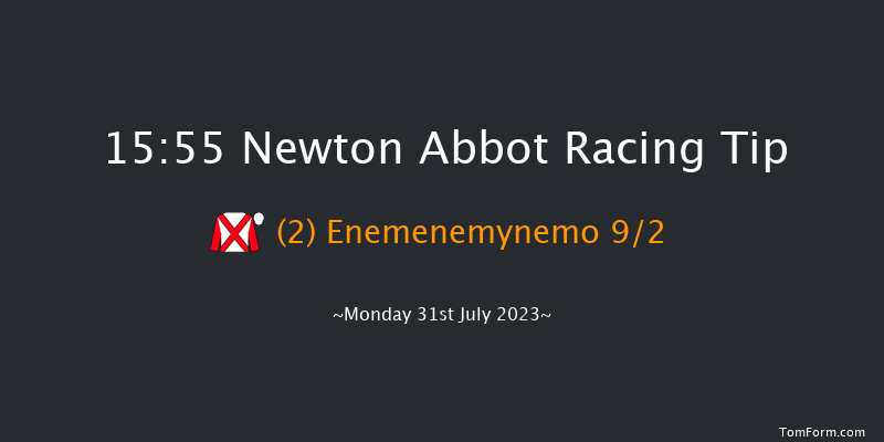 Newton Abbot 15:55 Handicap Chase (Class 4) 21f Sun 23rd Jul 2023