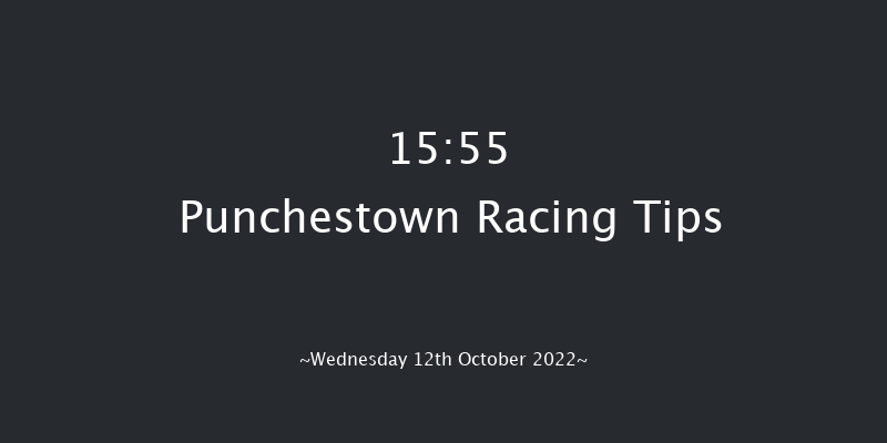 Punchestown 15:55 Maiden Chase 19f Tue 11th Oct 2022
