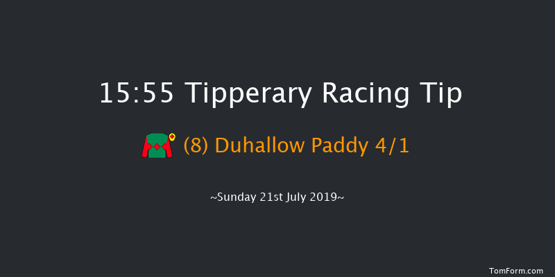 Tipperary 15:55 Handicap Chase 20f Thu 4th Jul 2019
