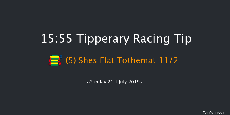 Tipperary 15:55 Handicap Chase 20f Thu 4th Jul 2019