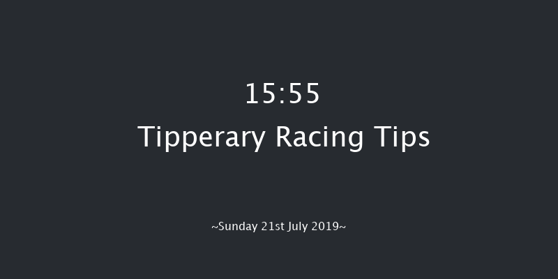 Tipperary 15:55 Handicap Chase 20f Thu 4th Jul 2019