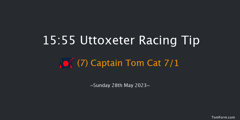 Uttoxeter 15:55 Handicap Chase (Class 2) 20f Sat 20th May 2023