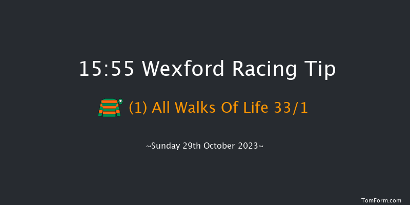 Wexford 15:55 Handicap Hurdle 20f Fri 1st Sep 2023