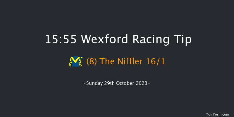 Wexford 15:55 Handicap Hurdle 20f Fri 1st Sep 2023