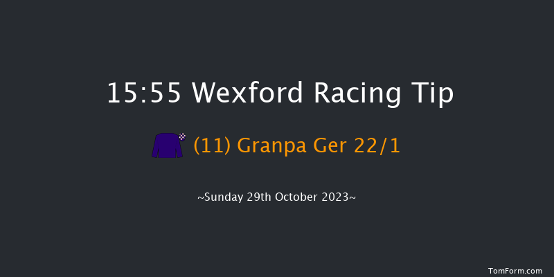 Wexford 15:55 Handicap Hurdle 20f Fri 1st Sep 2023