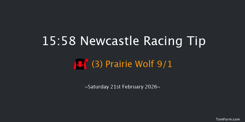 Newcastle 15-58 (Class 3) 20f Thu 19th Feb 2026
