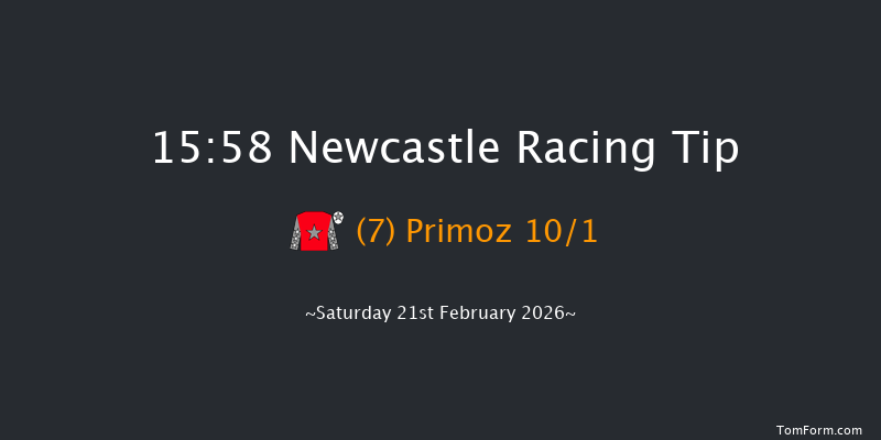 Newcastle 15-58 (Class 3) 20f Thu 19th Feb 2026